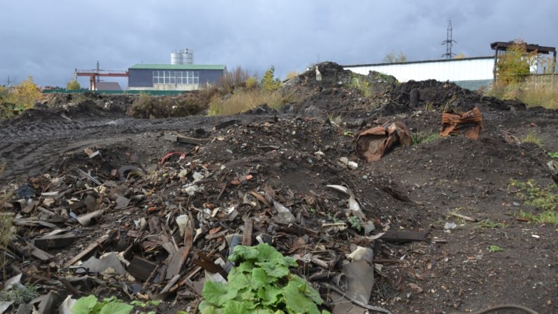 Технопарк на месте закрытого полигона организуют в Рузском городском округе