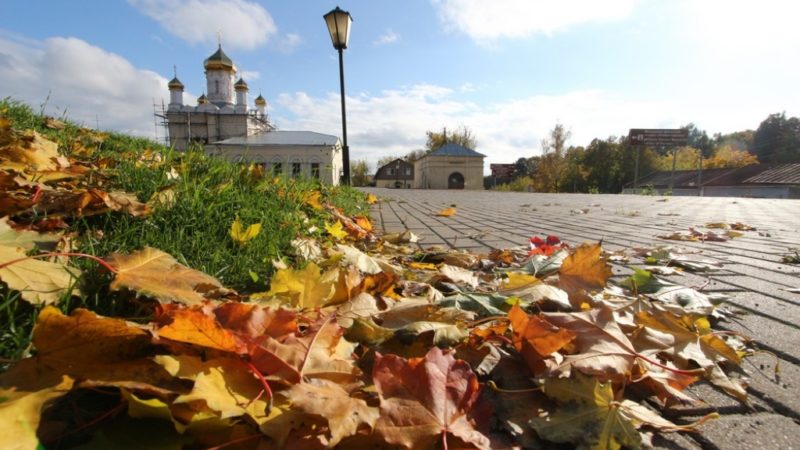 На центральных улицах Рузы зафиксирован 61 объект незаконной рекламы