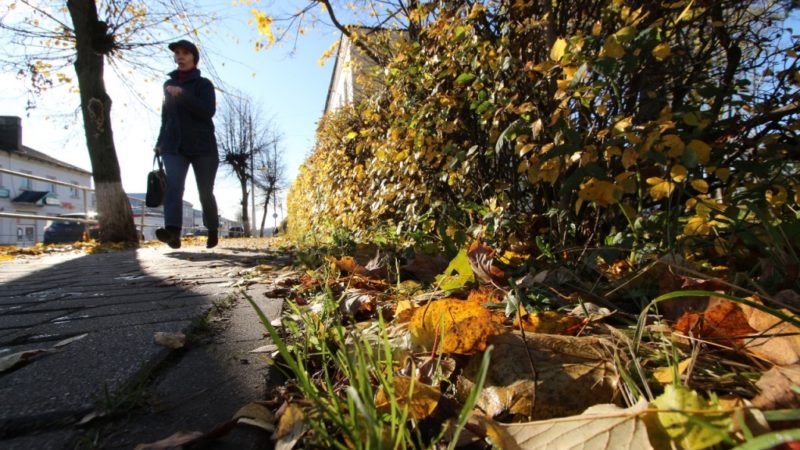 В Рузском городском округе завершают программу благоустройства дворовых территорий