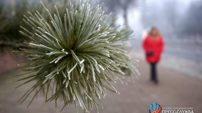 Синоптики прогнозируют ухудшение видимости на дороге из-за тумана