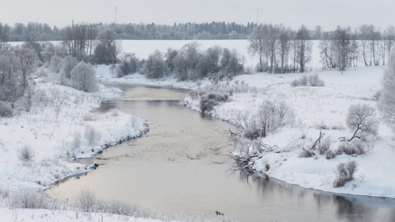 В Рузском округе подтопило дорогу в одной из деревень