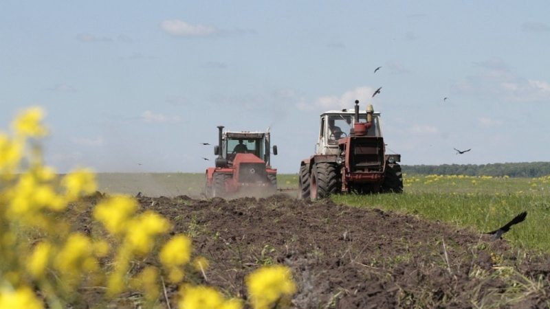 В Рузском округе увеличат посевную площадь