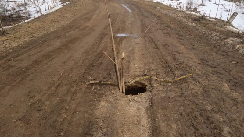 Две деревни отрезано паводком от большой земли в Рузском округе