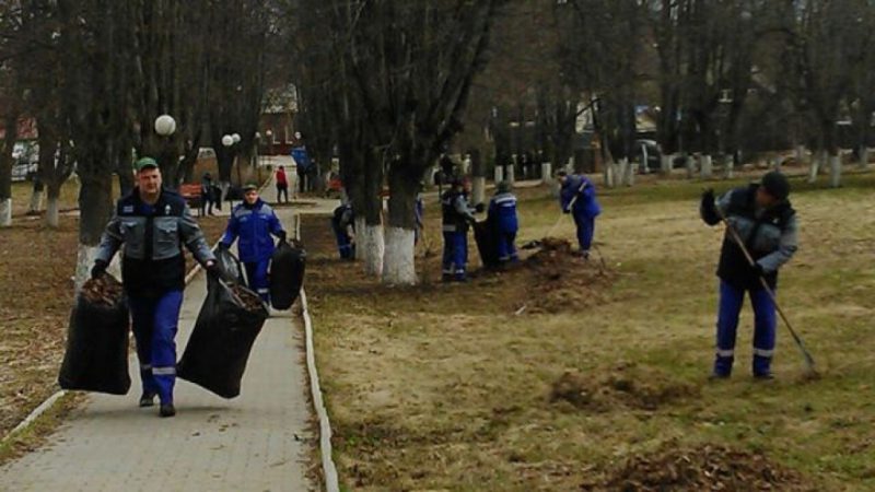 В Рузском городском округе жураналисты проведут медиасубботник