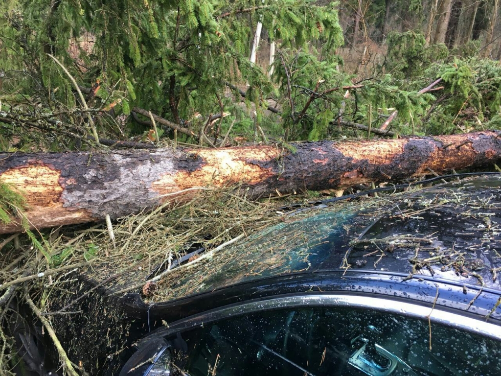 Ураган в подмосковье сейчас. Ураганы в Тучково. Последствия урагана деревья. Последствия урагана на дороге.