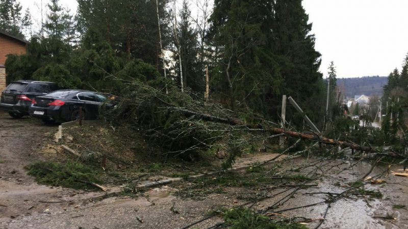 Свыше 450 поваленных ураганом деревьев убрали с дорог Подмосковья