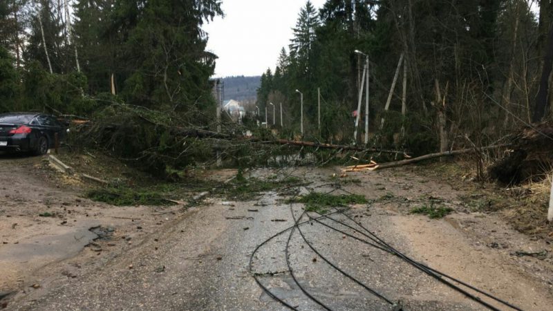 В Рузском городском округе полностью ликвидировали последствия урагана