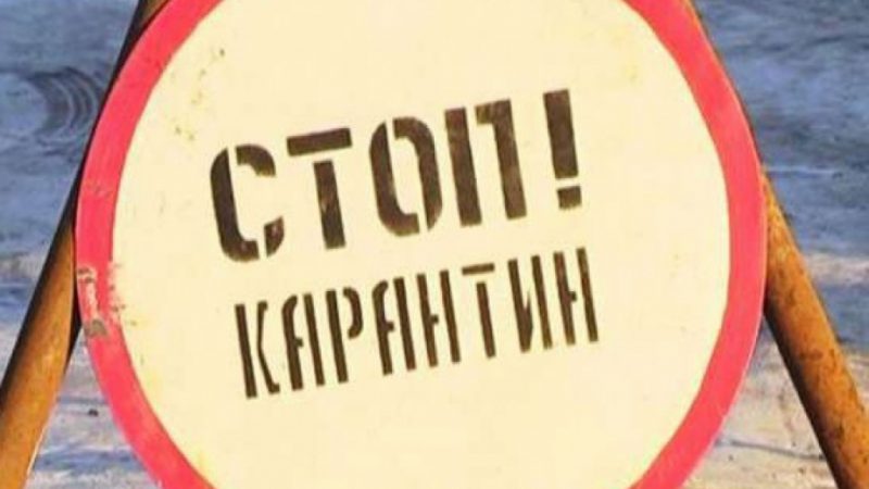 В Рузском округе отменили карантин по бешенству животных