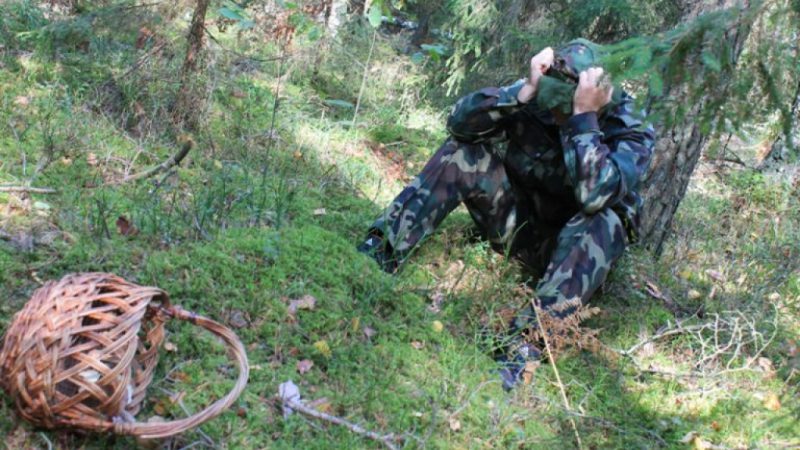 Система-112 Московской области помогает оперативнее выводить заблудившихся из леса