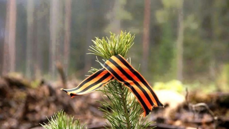 В Рузском округе пройдет акция «Лес Победы»