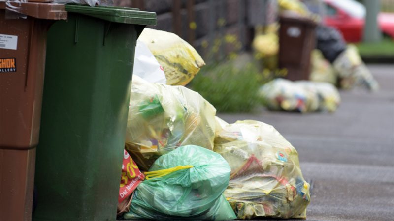 За отсутствие договоров на вывоз мусора жителей будут штрафовать с 1 июня
