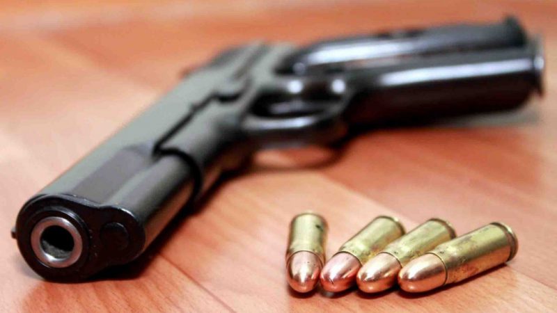 Пистолет изъяли у жительницы Щелканово