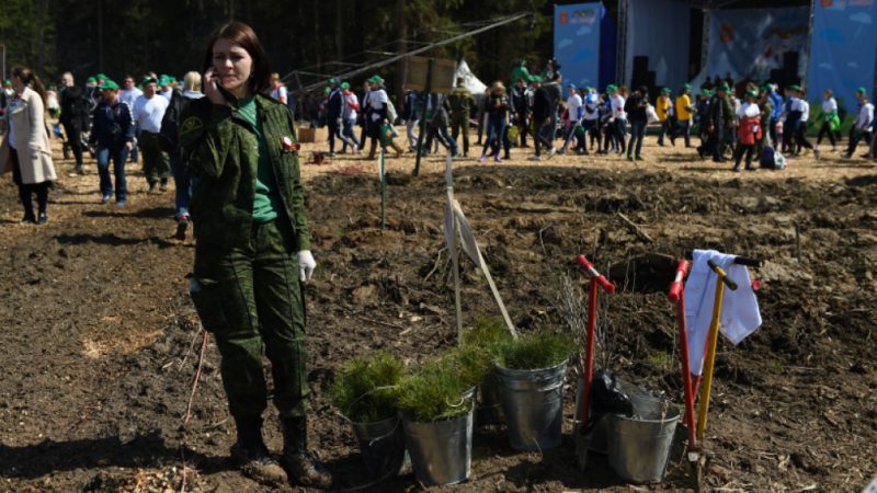 Акция «Лес Победы» пройдет во всех музеях Подмосковья 12 мая