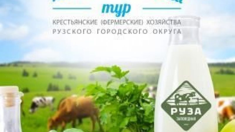 Бесплатный гастрономический тур пройдет в Рузском округе