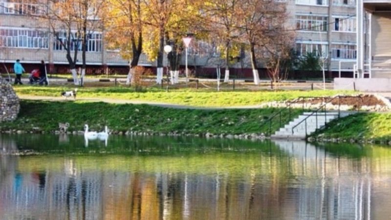 Георгиевский пруд расчистили в Рузе