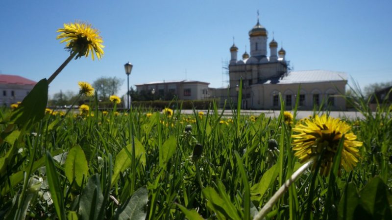 В Рузе демонтировали семь незаконных рекламных конструкций