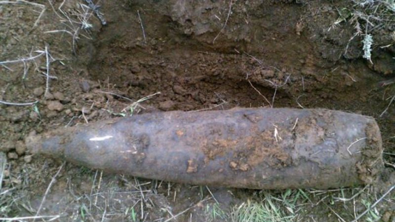 38 боеприпасов времен Великой Отечественной войны обезврежено в Московской области с начала года