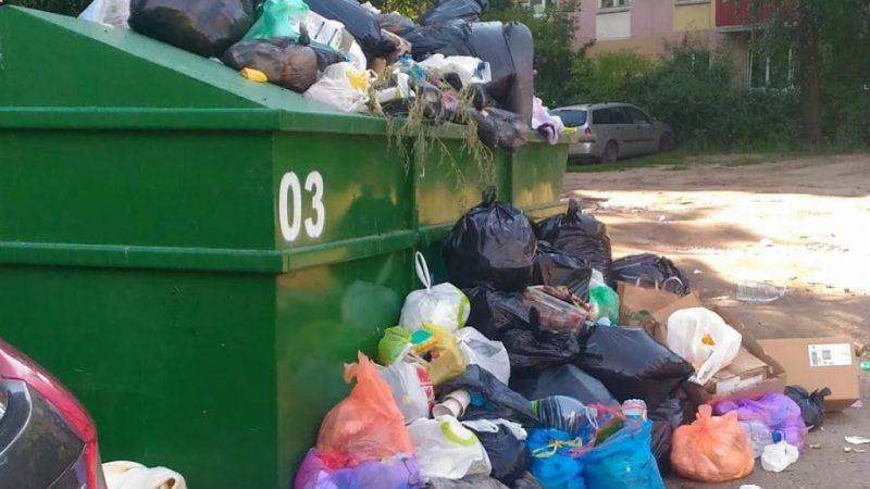 Договоры на вывоз мусора в Рузском округе заключили 60% СНТ