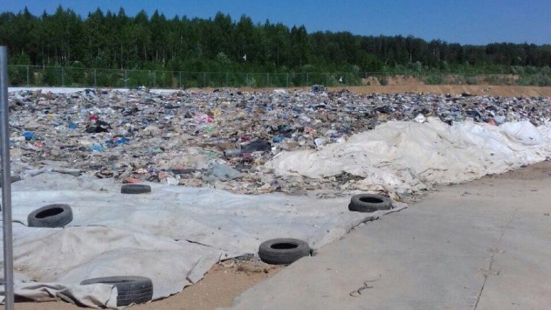 На временную площадку в Рузском округе отходы принимают через систему «Электронный талон»