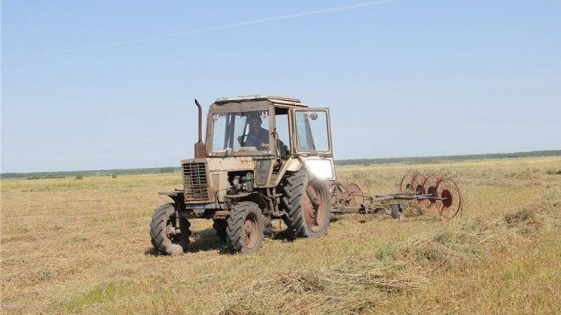 Заготовка кормов началась в Рузском городском округе