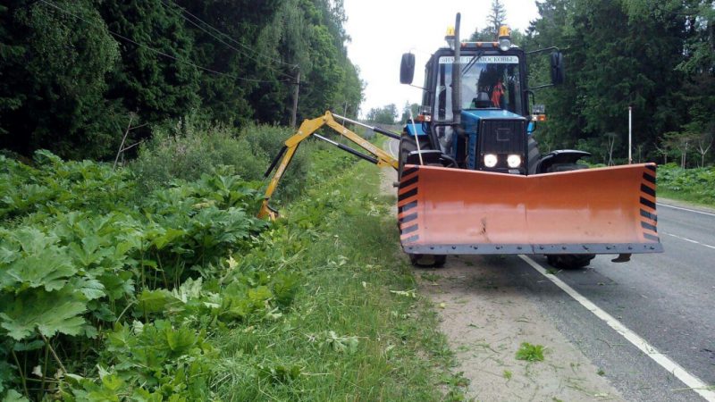 Продолжается борьба с борщевиком Сосновского в Рузском округе