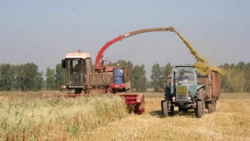 35 тысяч тонн кормов заготовлено в Рузском городском округе