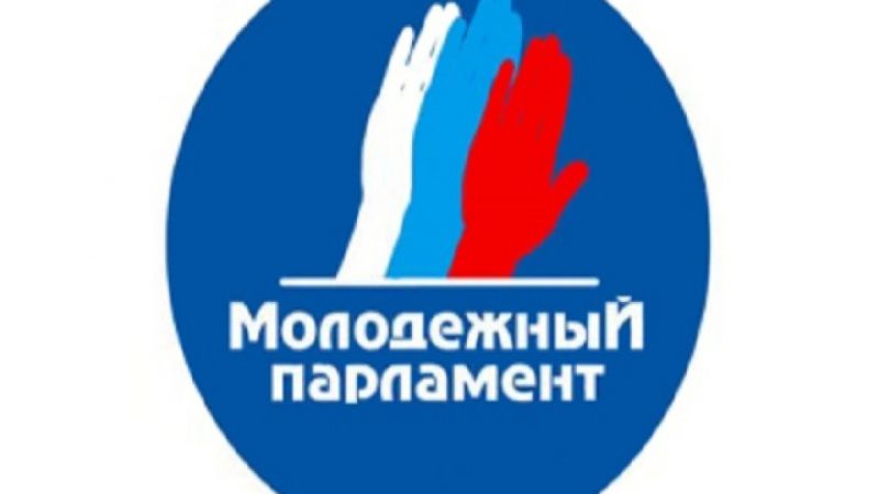 Выборы в молодёжный парламент Рузского городского округа пройдут 29 ноября