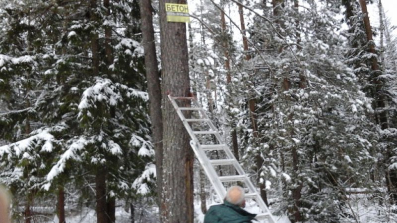 Рекламе в Рузских лесах — не место!