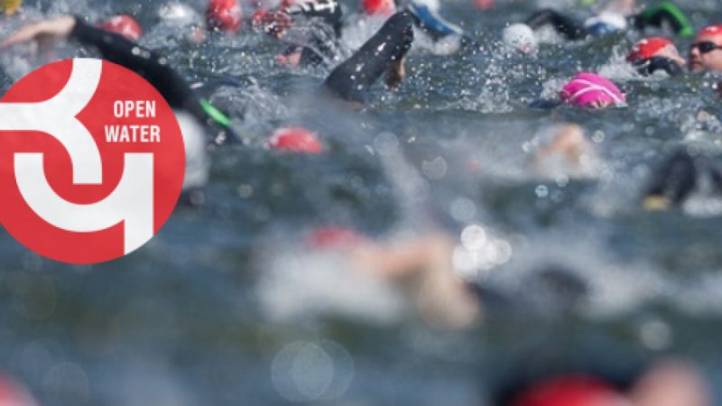 Кубок Чемпионов Open Water РУЗА 2019