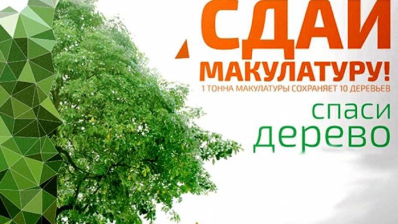 В экологическом марафоне Рузский городской округ признан безусловным лидером