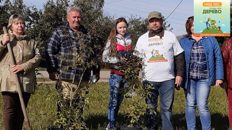 Более 1500 человек приняло участие в областной экологической акции «Наш лес. Посади свое дерево» в Рузском городском округе