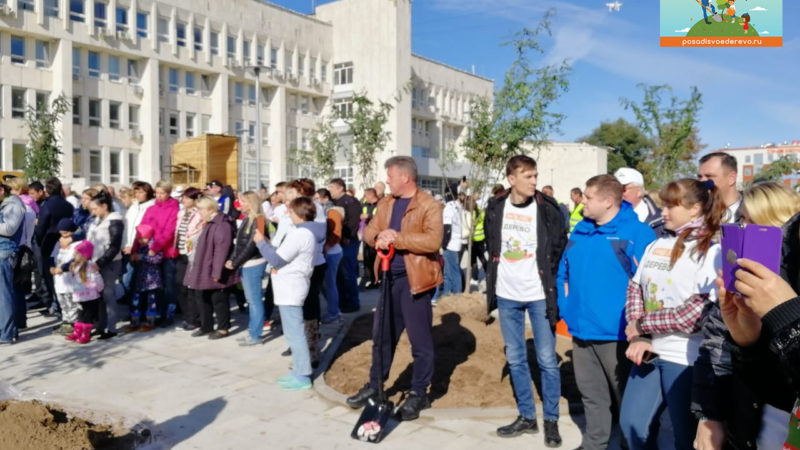 В Рузском городском округе стартовала областная акция «Наш лес. Посади свое дерево»