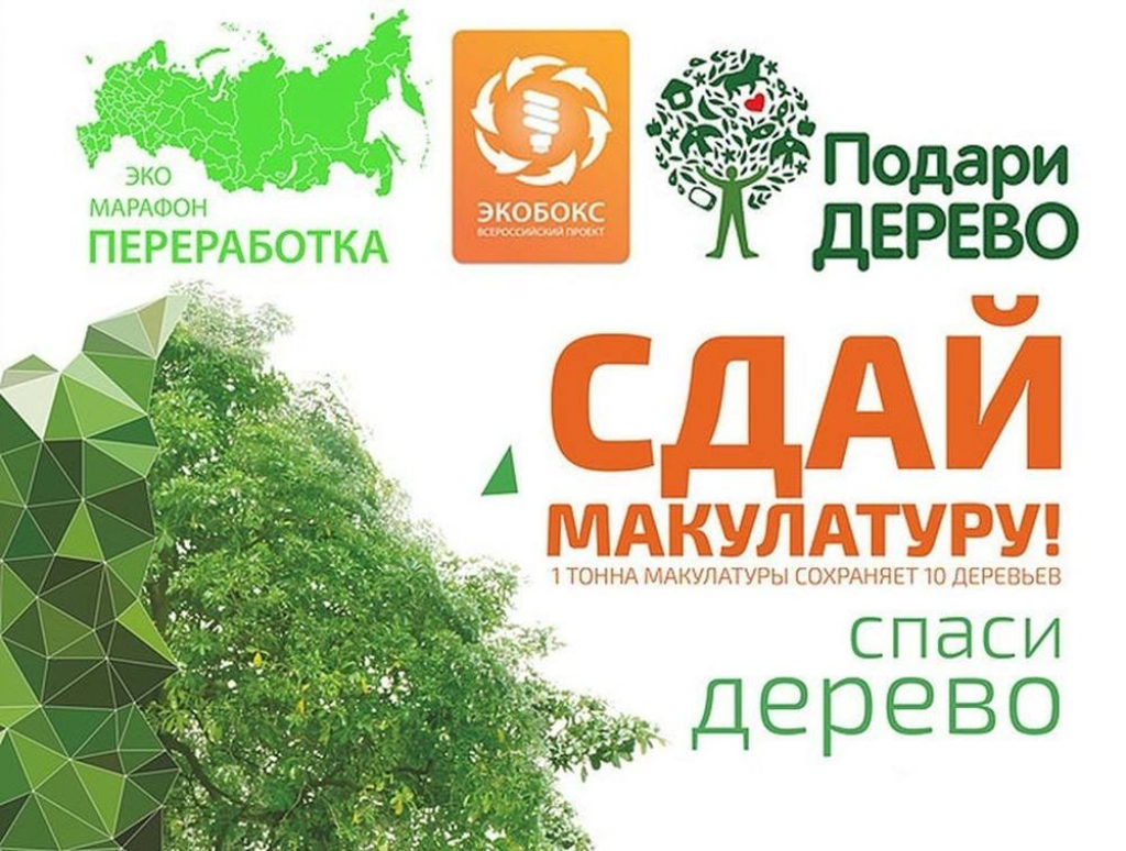 Ружане могут сдать макулатуру в трех пунктах - РузаРИА - Новости Рузского  городского округа. Фото и видео