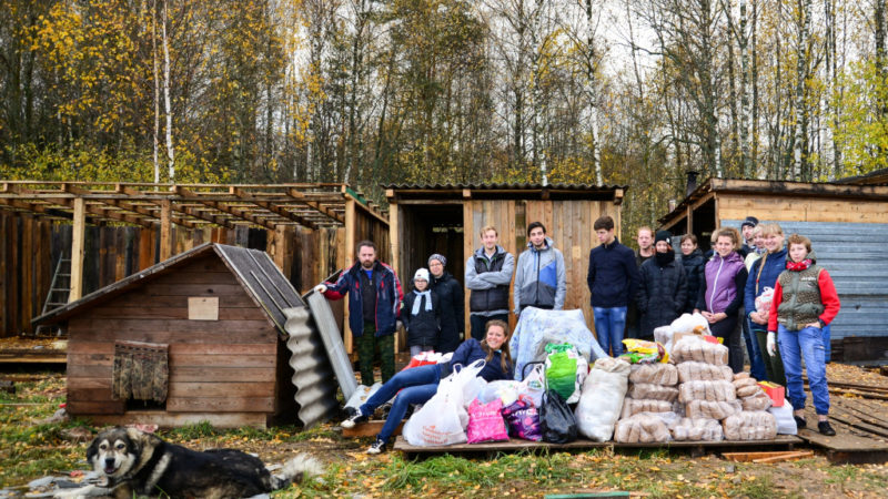 Молодежный клуб «Лиса» из Рузского округа отвез в приют 400 кг гречки