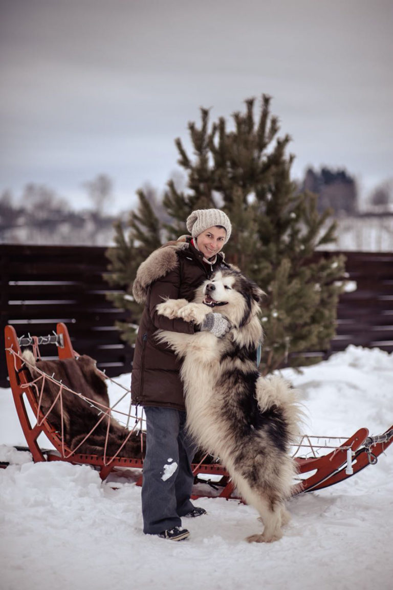 Аляска фото жизни и людей