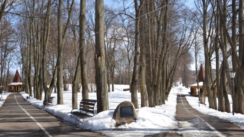 Вишневая зима в Подмосковье