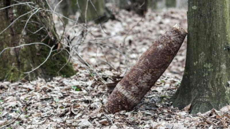 В Рузском округе обнаружили снаряд