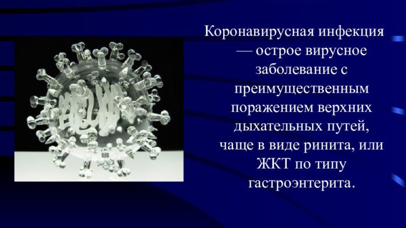 В Подмосковных школах и садах введен режим свободного посещения