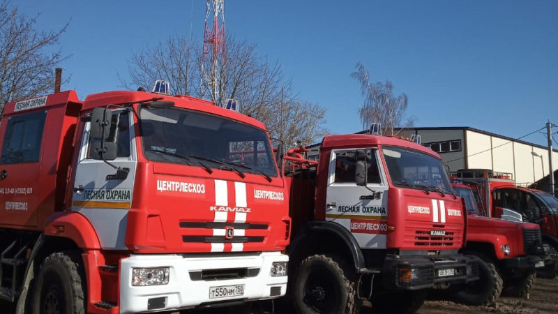 Журналистам рассказали об охране леса в Рузском округе