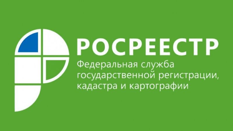 Ружане получили возможность запрашивать услуги Росреестра удаленно