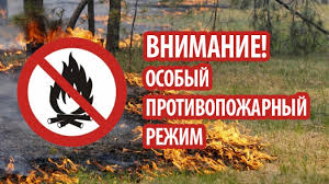 Ружан призывают соблюдать особый противопожарный режим