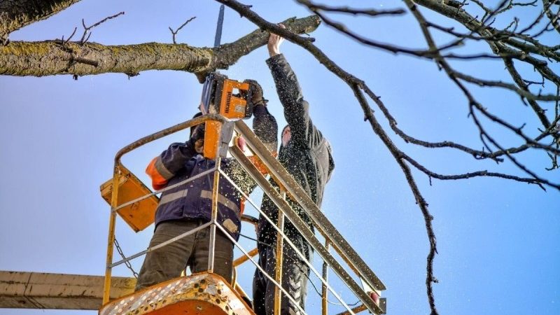 Благоустройство Рузского округа: работы за минувшие сутки