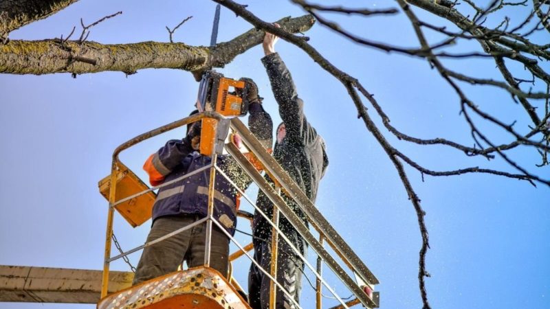 Благоустройство Рузского округа: работы за минувшие сутки