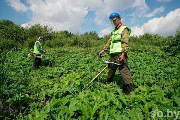 Благоустройство Рузского округа: работы за минувшие сутки