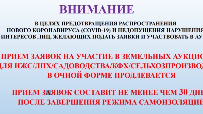 В Рузском округе продлен срок приема заявок на участие в земельных аукционах