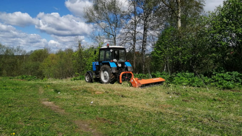 В Рузском округе уничтожают борщевик