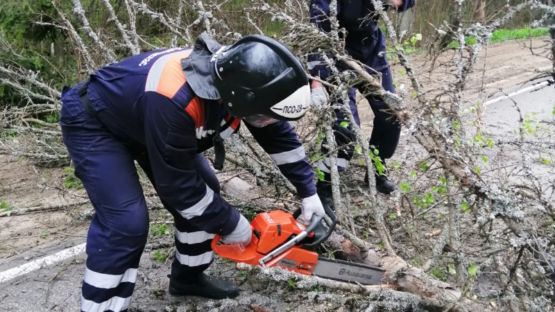 В Рузском округе с помощью спасателей очистили дорогу от упавшего дерева