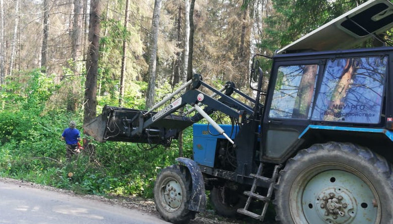 В Рузском округе проводится опиловка деревьев и кустарников