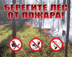 Ружан просят соблюдать правила противопожарной безопасности в лесу