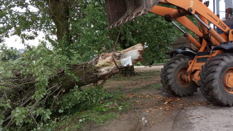 В Рузском округе дробят ветки и вывозят порубочные остатки